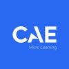 CAE Micro Learning