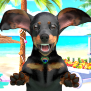 Puppy Tony