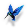Hummingbird OSC