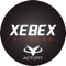 Xebex Actofit provides home workouts that can be performed on xebex equipment