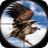 Birds of Prey: Wild Wings Hunt