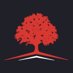 ALNUS TRADER