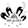 sky de sky