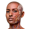 Complete Anatomy ‘23 - 3D4Medical from Elsevier