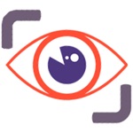 Data Eye