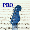 Guitar Notes PRO - Pablo Prieto