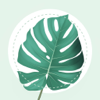 PlantMe - AI Plant Identifier - Straiton Limited