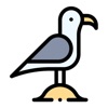 Seagull Stickers