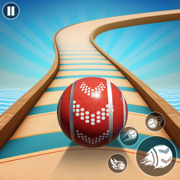 Rolling Balls Master