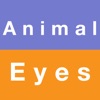 Animal Eyes idioms in English