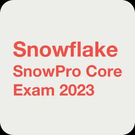 Snowflake SnowPro Core Exam Читы