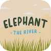 Elephant the river