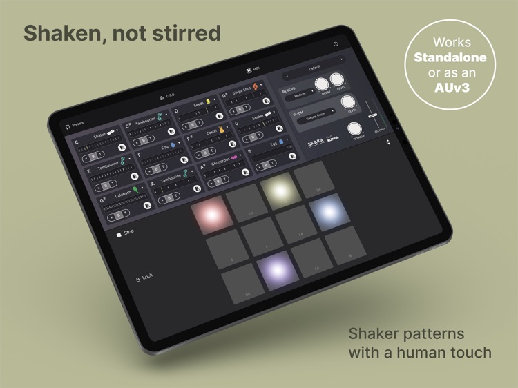 Skaka - Shaken Percussion
