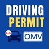 Louisiana LA OMV Permit Test