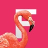 Flamingo Tropical Stickers