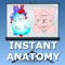 Learn human anatomy with this app – our series of lectures on the Thorax and Abdomen