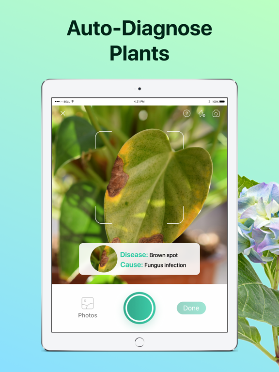 PictureThis - Plant Identifier screenshot 4