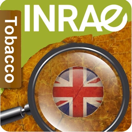 DiagnoPlantTobacco Download