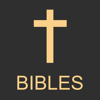 The Bible project offline app - Pavel Vinnik