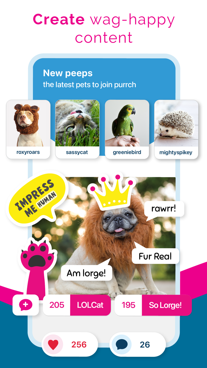 Purrch Find answers  support