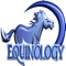 Icon Equine Anatomy Learning Aid