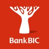Bank BIC NA Limited