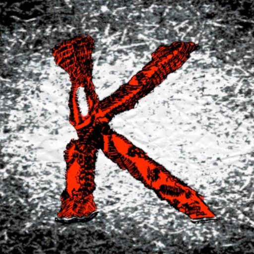 「K」