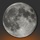 Moon Phases