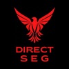 Direct Seg