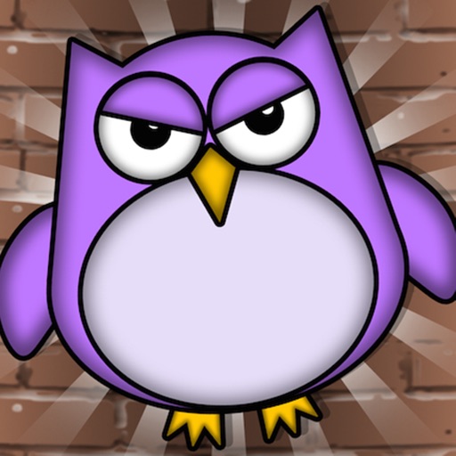 Tiny Owl iOS App