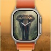 Animals Watch Faces