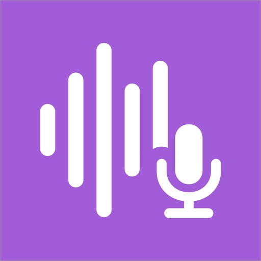Voice Recorder - Record sound Icon