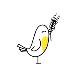 Кафе "Овсянка" Oatmeal organic