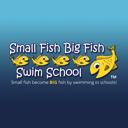 Small Fish Big Fish Swim Cheats