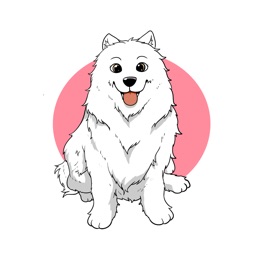 Maya Traveling Samoyed