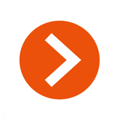 Macroscop video surveillance