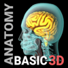 3D Human Anatomy Basic - Sachin Rasane