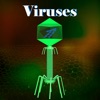 Learn Viruses