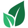 Green Learning