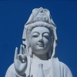 Chu Dai Bi tri chu rat hay