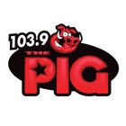 Top 28 Music Apps Like My Pig Radio - Best Alternatives