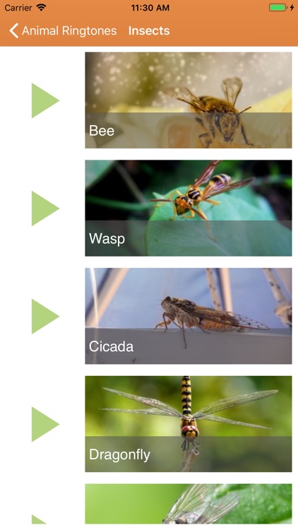 Animal Ringtones & Sounds screenshot-3