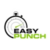 EasyPunch Auto