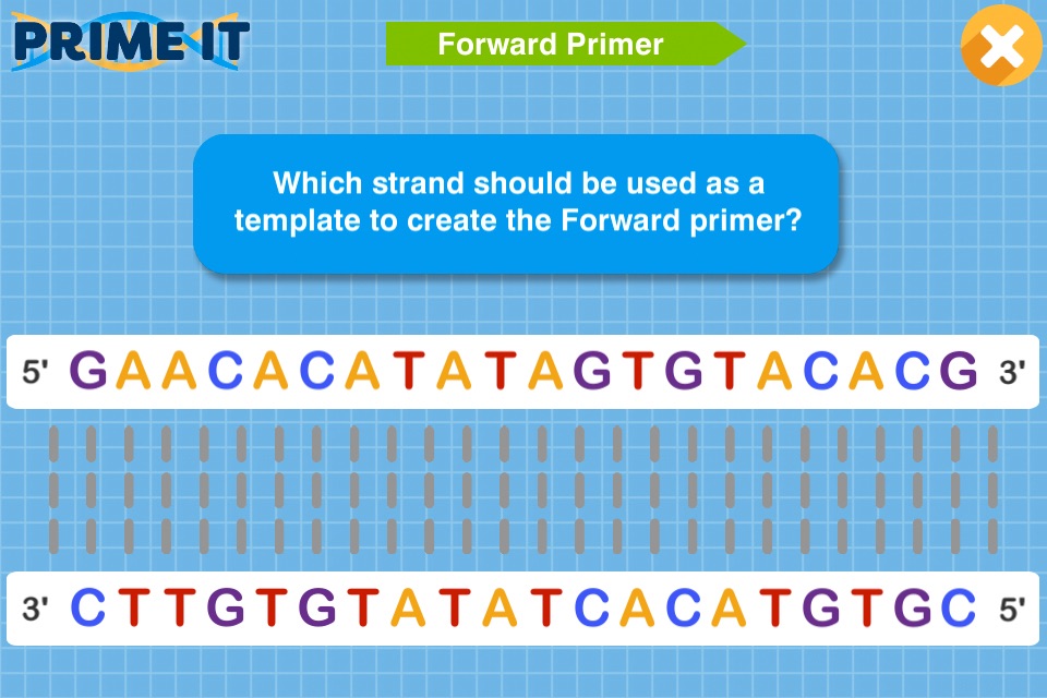 Prime It DNA Game screenshot 3