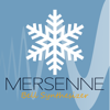 Mersenne - AUv3 Plug-in Synth - iceWorks, Inc.