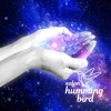 Salon humming bird　公式アプリ