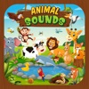 Animal Sound for learning