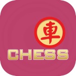 Chess Chinese