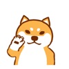 A Shiba Dog Animated Stickers