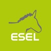 ESEL Charge